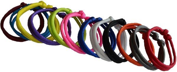 Valpmärkningshalsband knut